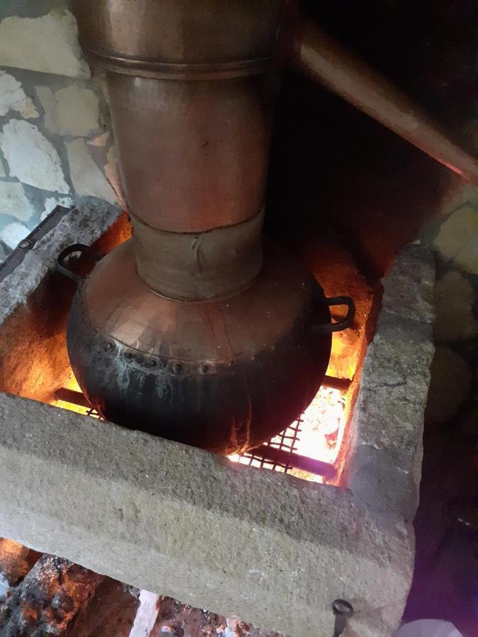 Aromas Dos Salgueiros Villa Castelo de Vide Kültér fotó